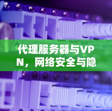 代理服务器与VPN，网络安全与隐私保护的双重防线