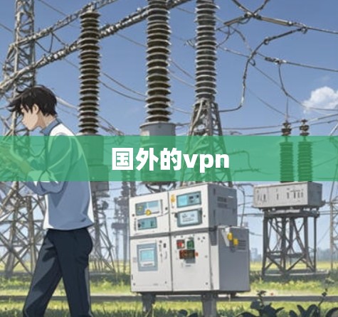 国外的vpn