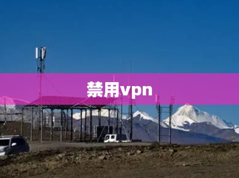 禁用vpn